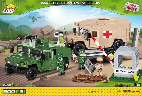 24307 - NATO Recovery Mission